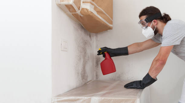 Professional Basement Mold Removal technician working in Grandville, MI